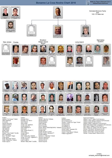 This chart from the Department of Justice and Attorney General Eric Holder shows the structure of alleged organized crime families. . Bonanno crime family chart 2021